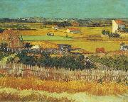 Vincent Van Gogh, The Harvest, Arles